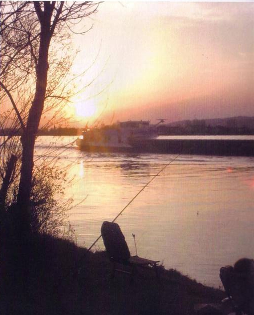 Donau: Morgenstimmung